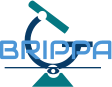 BRIPPA logo